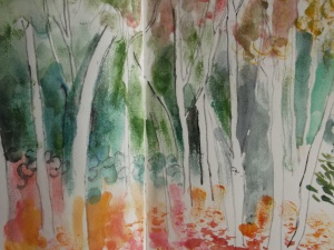 Birch trees at Anglesey Abbey. Stick and watercolour.